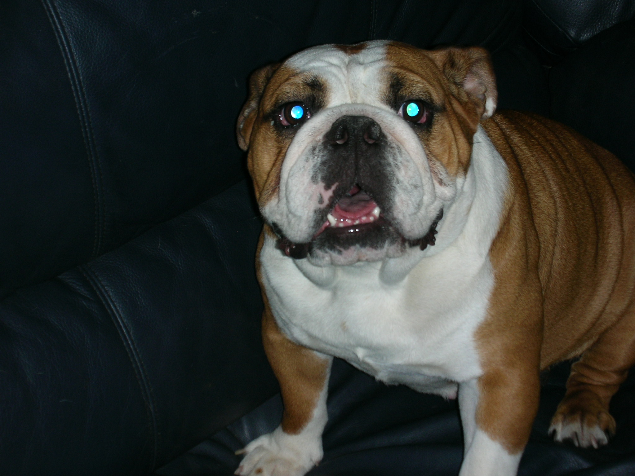 DSCN0622.jpg